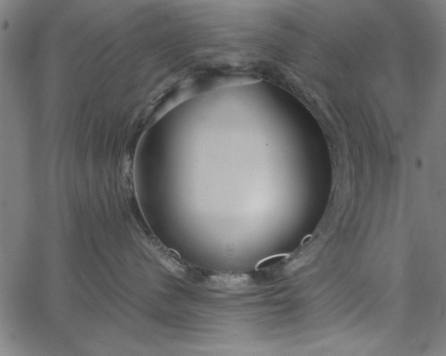 X0000065250480200603031808