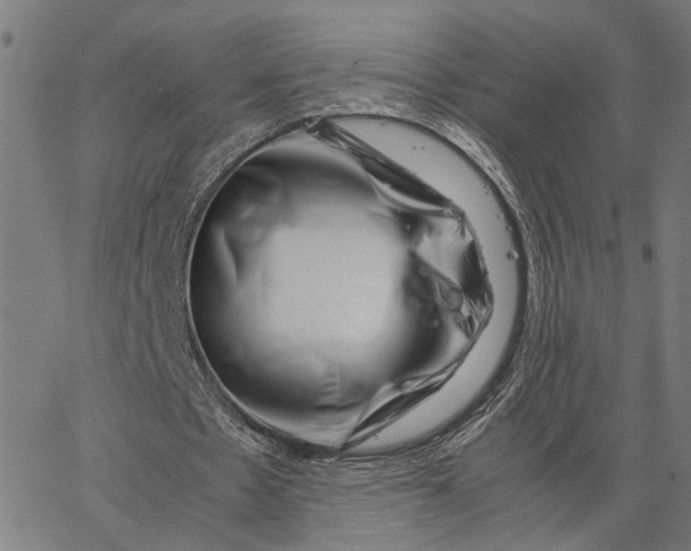 X0000065250481200603031807