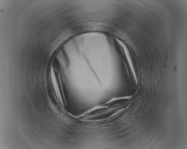 X0000065250482200603031807