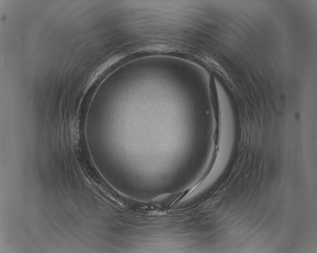 X0000065250484200603031807