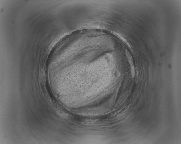 X0000065250487200603031807