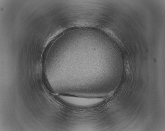 X0000065250488200603031807