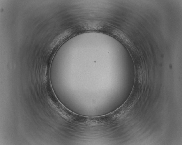 X0000065250490200603031807