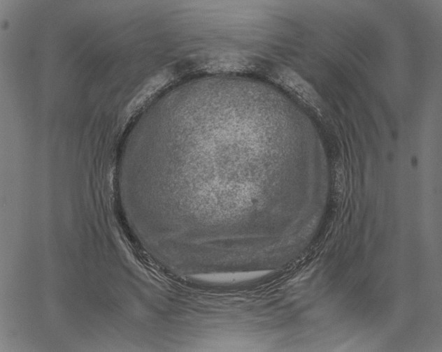 X0000065250491200603031807