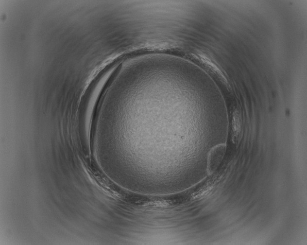 X0000065250492200603031807