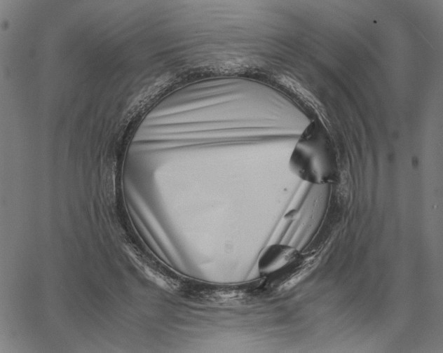 X0000065250493200603031807