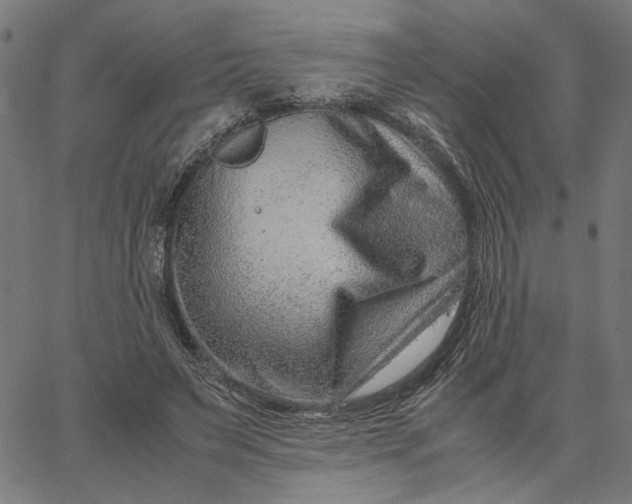 X0000065250495200603031807