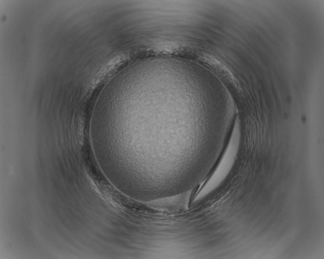 X0000065250496200603031807