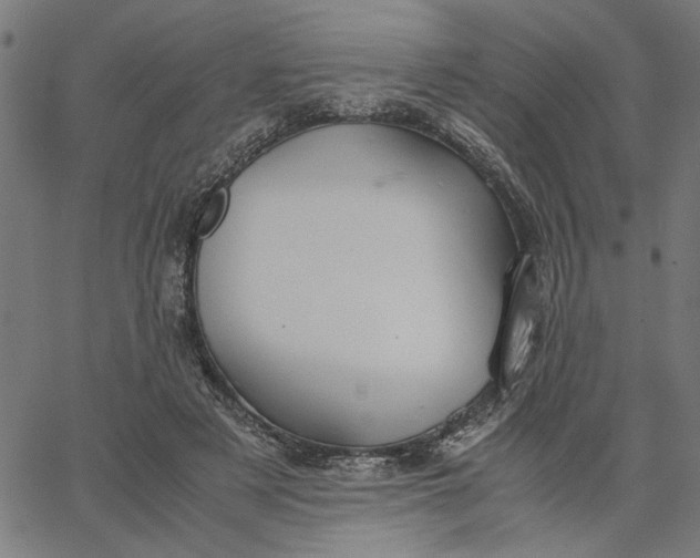 X0000065250497200603031807