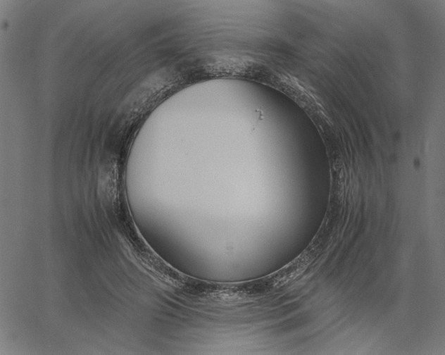 X0000065250498200603031807