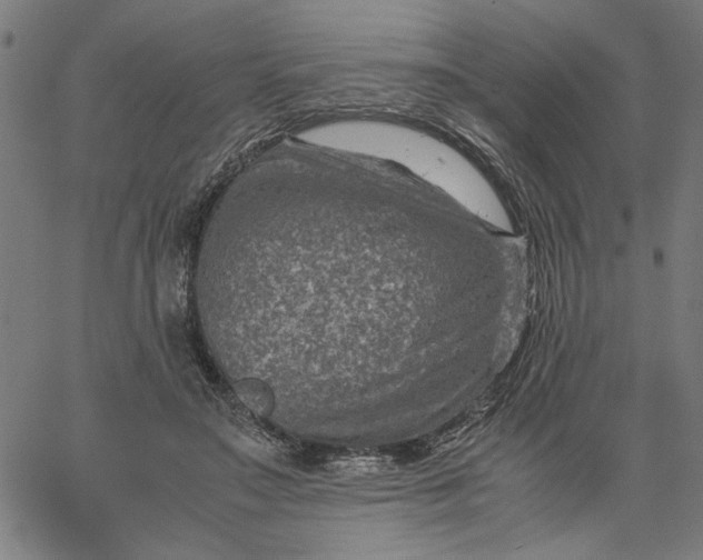 X0000065250499200603031807