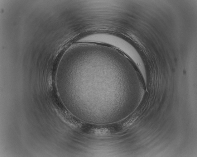 X0000065250500200603031807