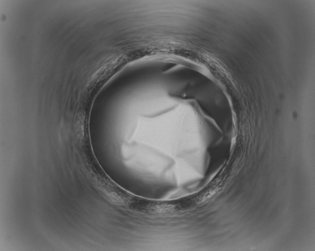 X0000065250501200603031807