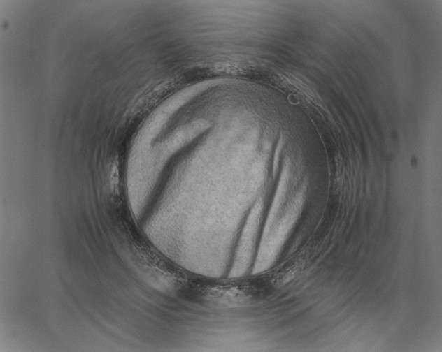 X0000065250502200603031807