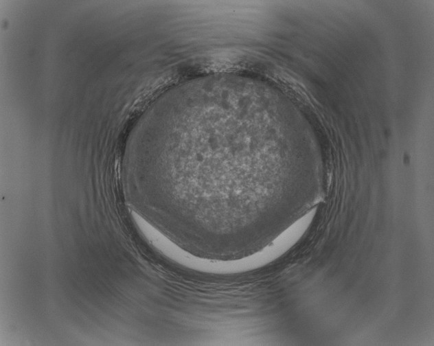 X0000065250503200603031807