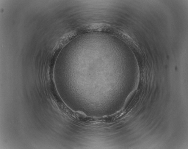 X0000065250504200603031807