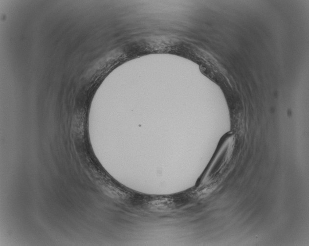 X0000065250505200603031807