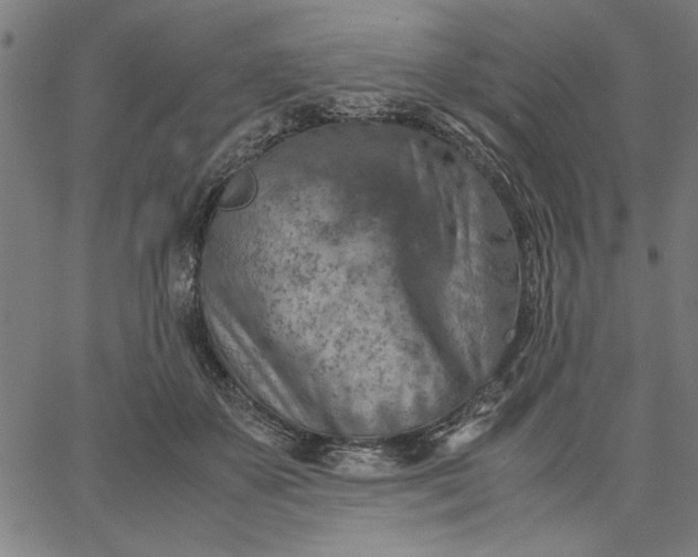 X0000065250507200603031807