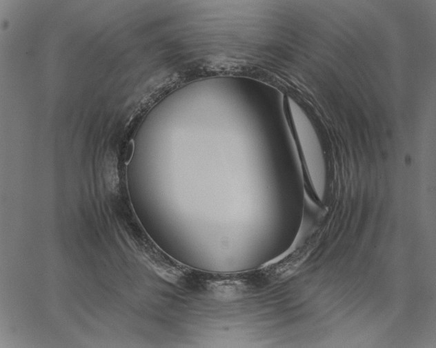 X0000065250508200603031807