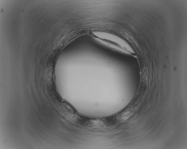 X0000065250509200603031807