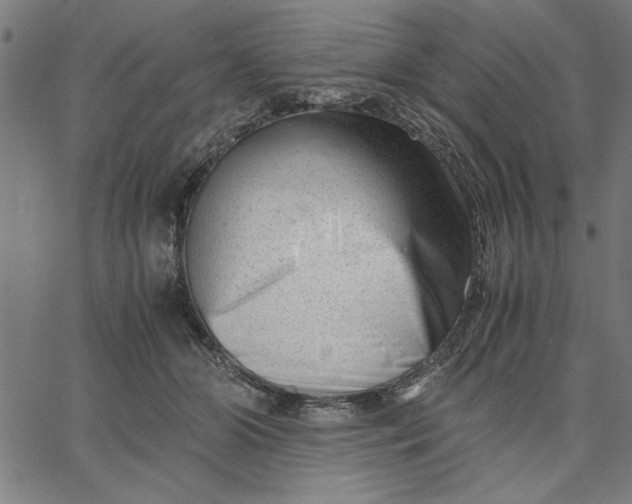 X0000065250510200603031807