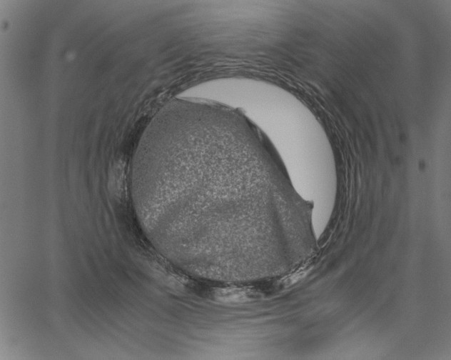 X0000065250511200603031807