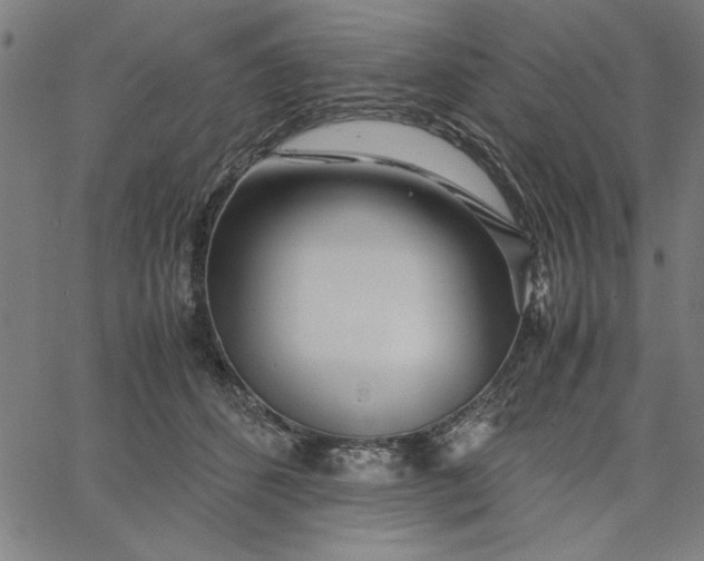 X0000065250512200603031807