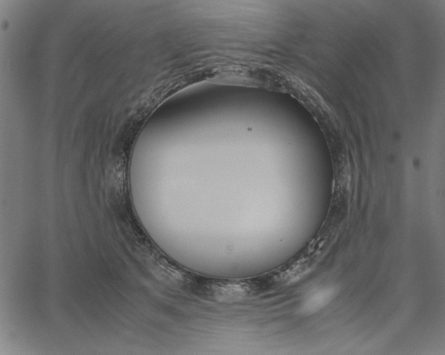 X0000065250513200603031807