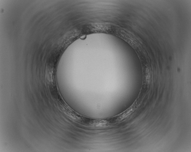 X0000065250514200603031807