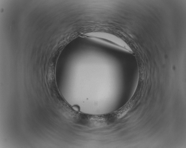 X0000065250515200603031807