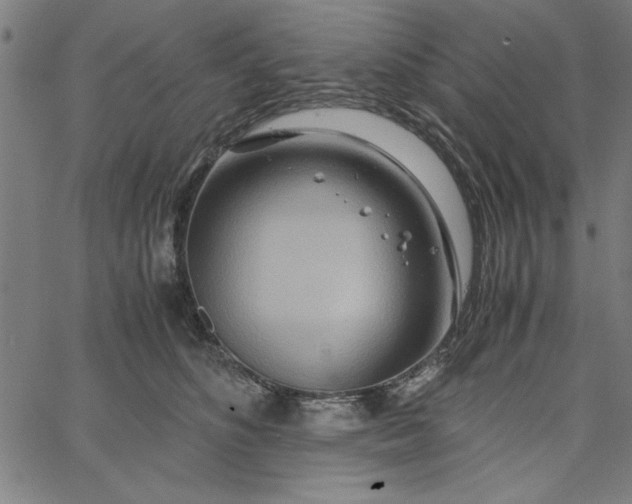 X0000065250516200603031807