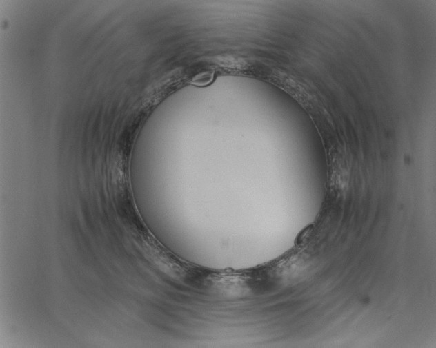 X0000065250518200603031807