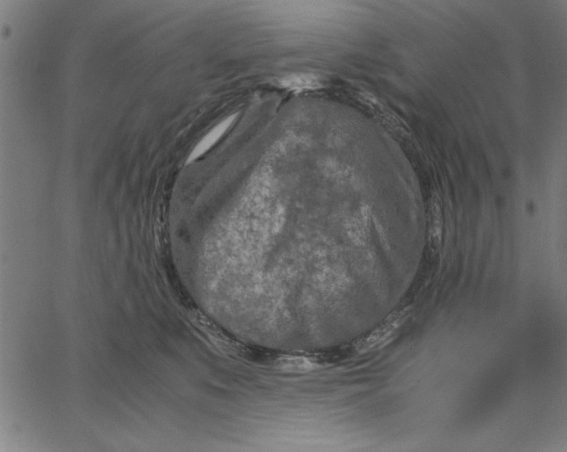 X0000065250519200603031807