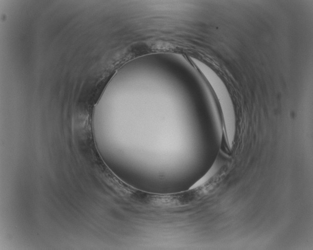 X0000065250521200603031807