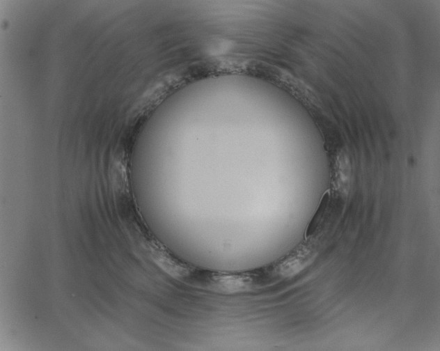 X0000065250522200603031807