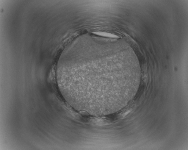 X0000065250523200603031807