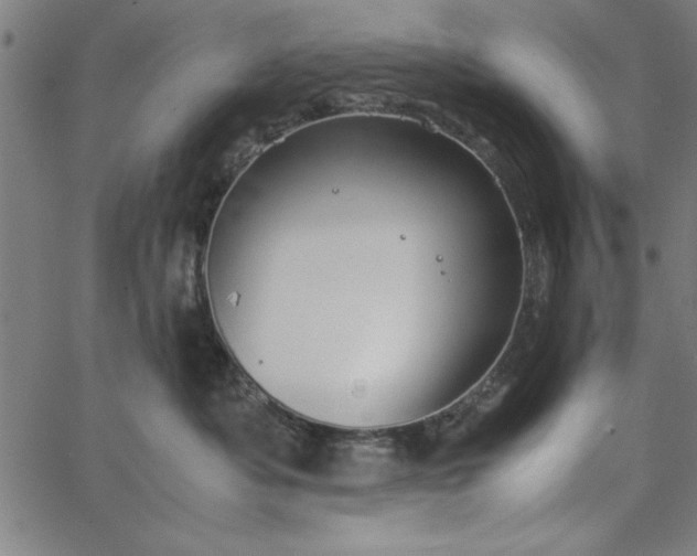 X0000065250525200603031806