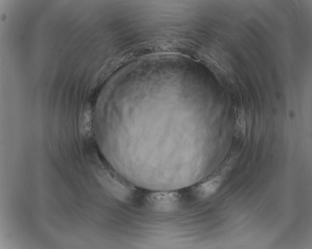 X0000065250526200603031806