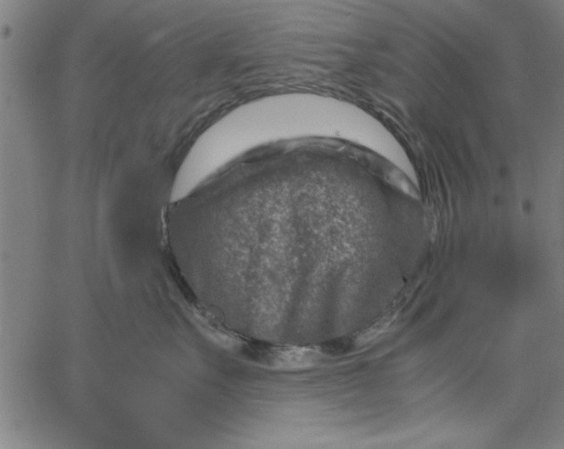 X0000065250527200603031806