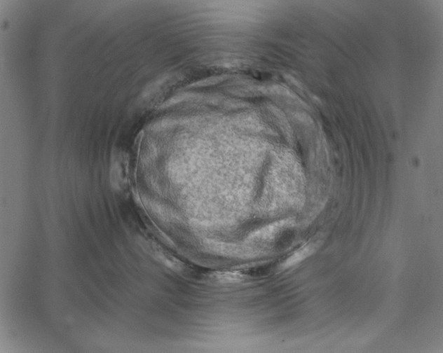 X0000065250528200603031806