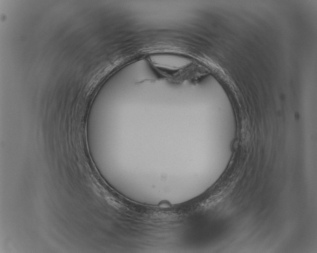 X0000065250529200603031806