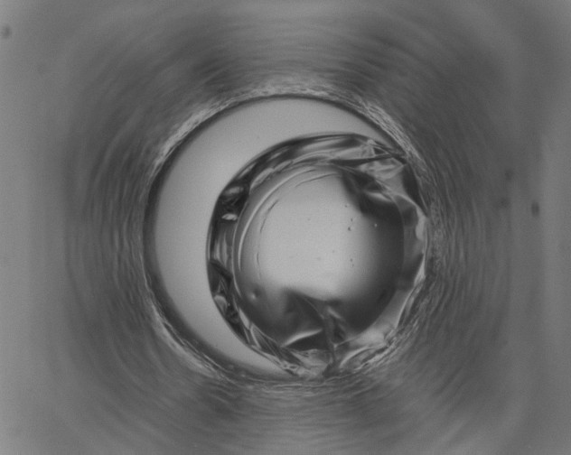 X0000065250530200603031806