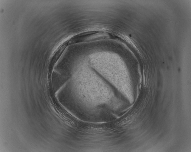 X0000065250531200603031806