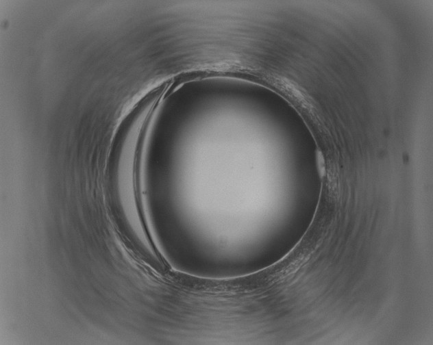 X0000065250532200603031806