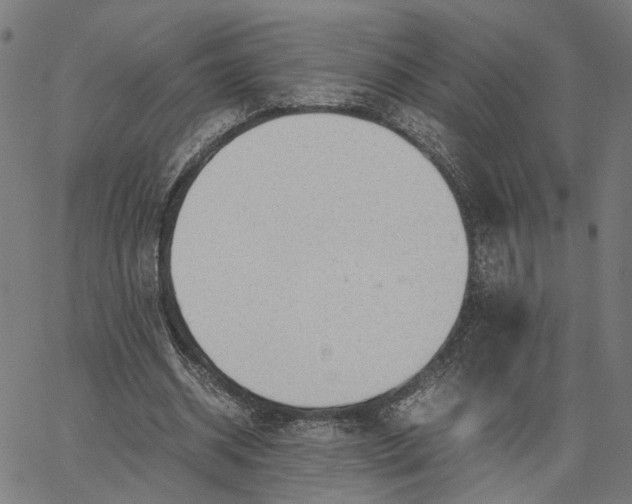 X0000065250534200603031806