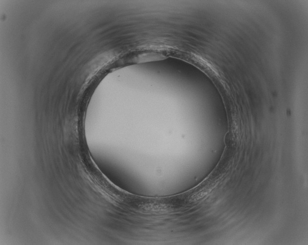 X0000065250535200603031806