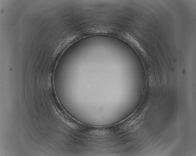 X0000065250537200603031806