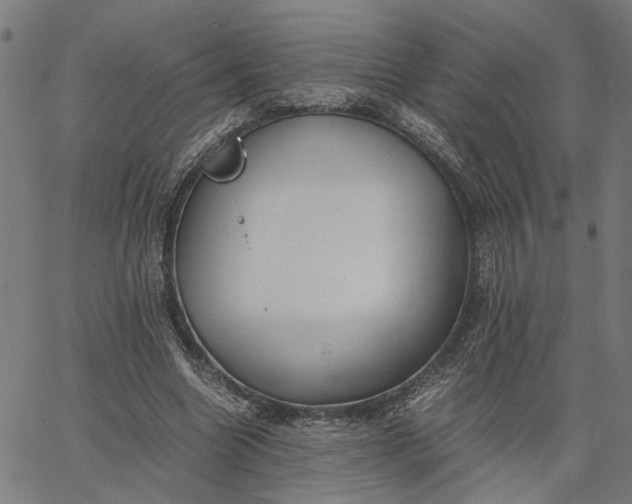 X0000065250538200603031806