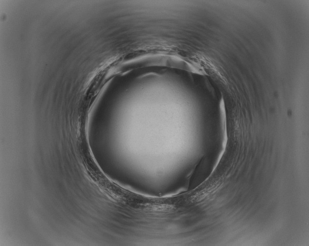 X0000065250539200603031806