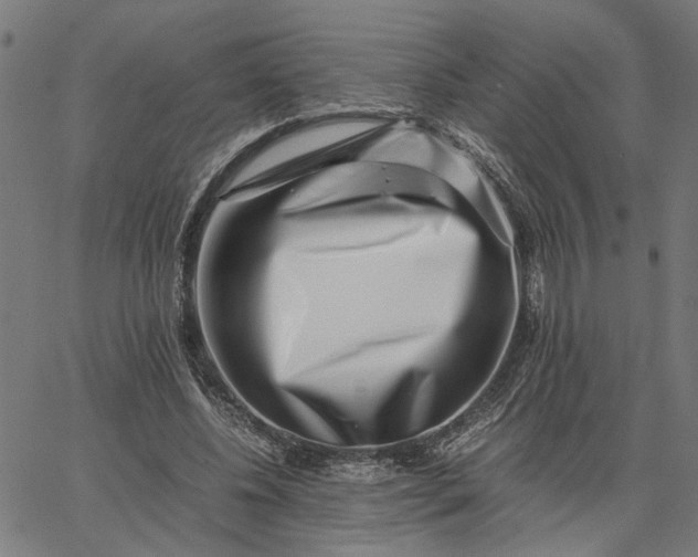 X0000065250540200603031806